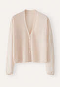 V-neck cardigan, Shell, webstill