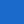 Bright bluebell