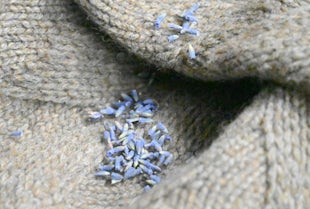 Fabric Care Guide: Wool
