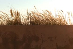Shining a light on sustainability